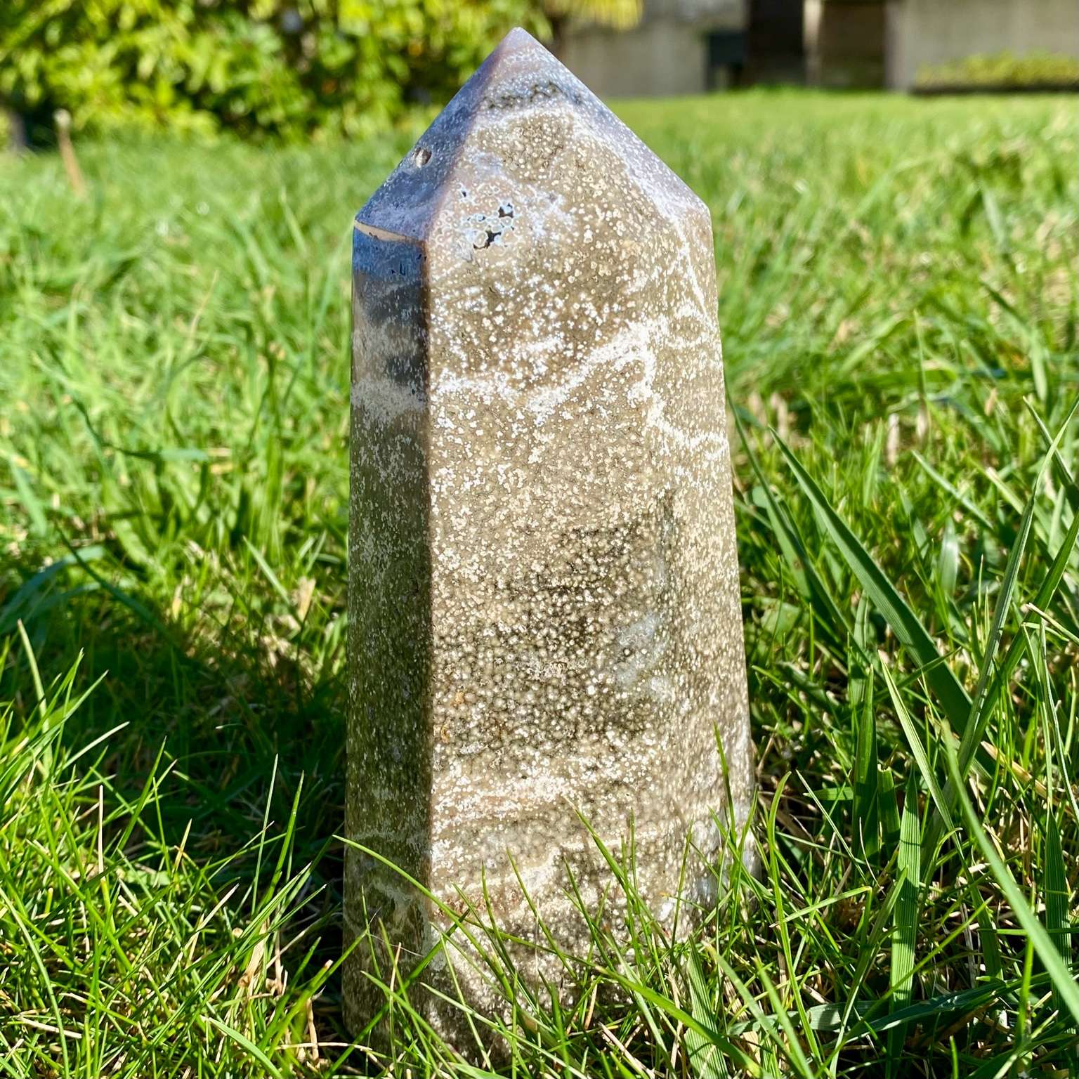 Pointe de jaspe orbiculaire gris argenté, pierre rare du Madagascar aux motifs hypnotiques et élégants.