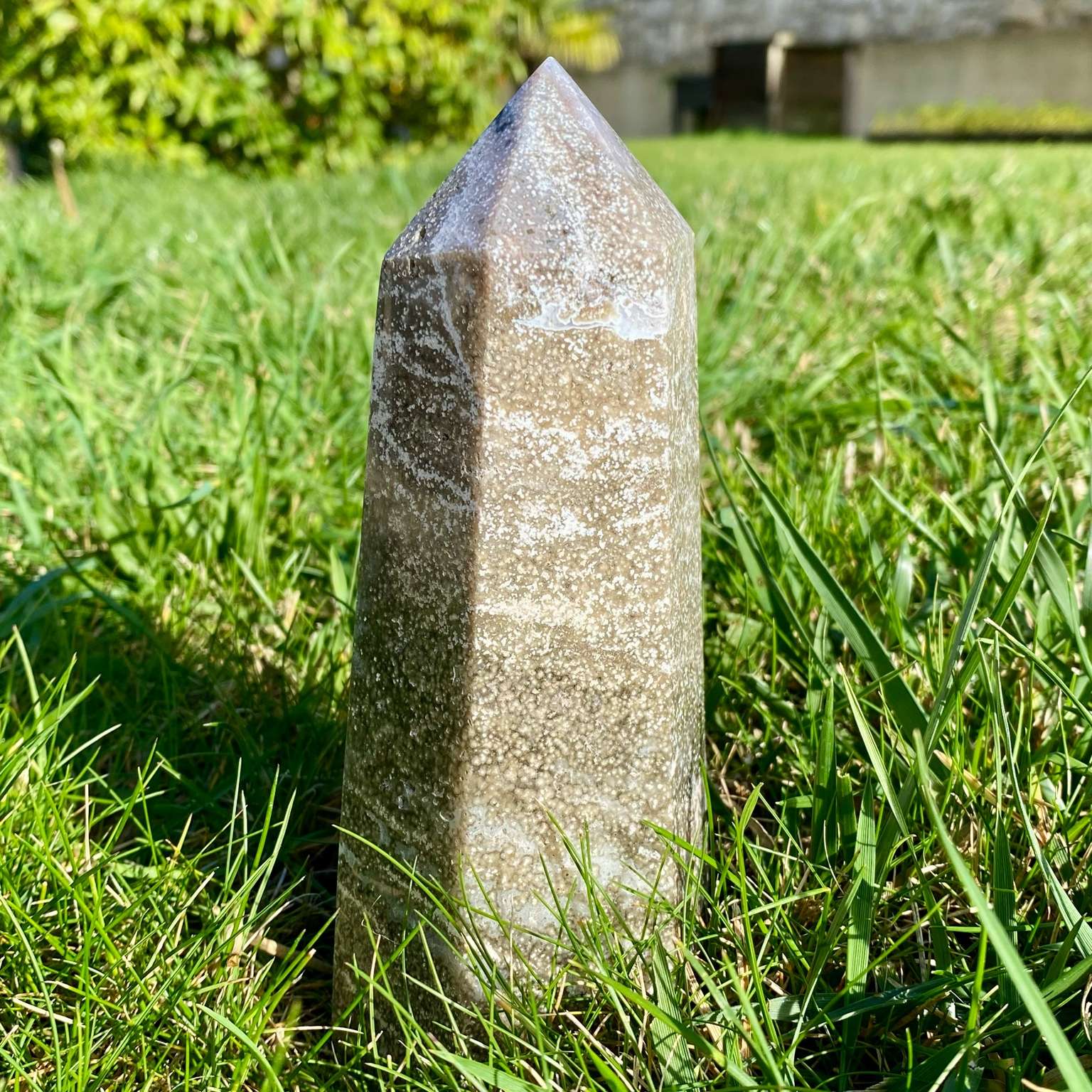 Pointe de jaspe orbiculaire gris argenté, pierre rare du Madagascar aux motifs hypnotiques et élégants.