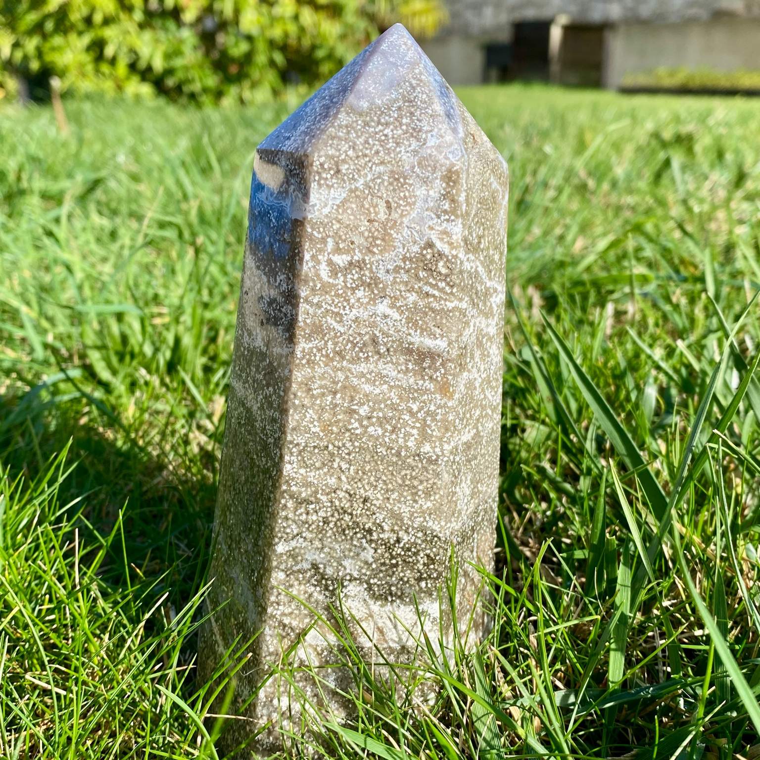 Pointe de jaspe orbiculaire gris argenté, pierre rare du Madagascar aux motifs hypnotiques et élégants.