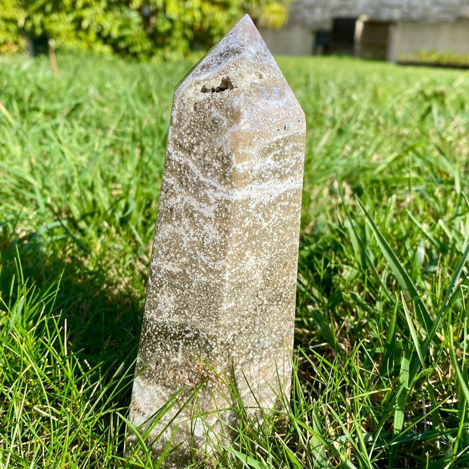 Pointe de jaspe orbiculaire gris argenté, pierre rare du Madagascar aux motifs hypnotiques et élégants.