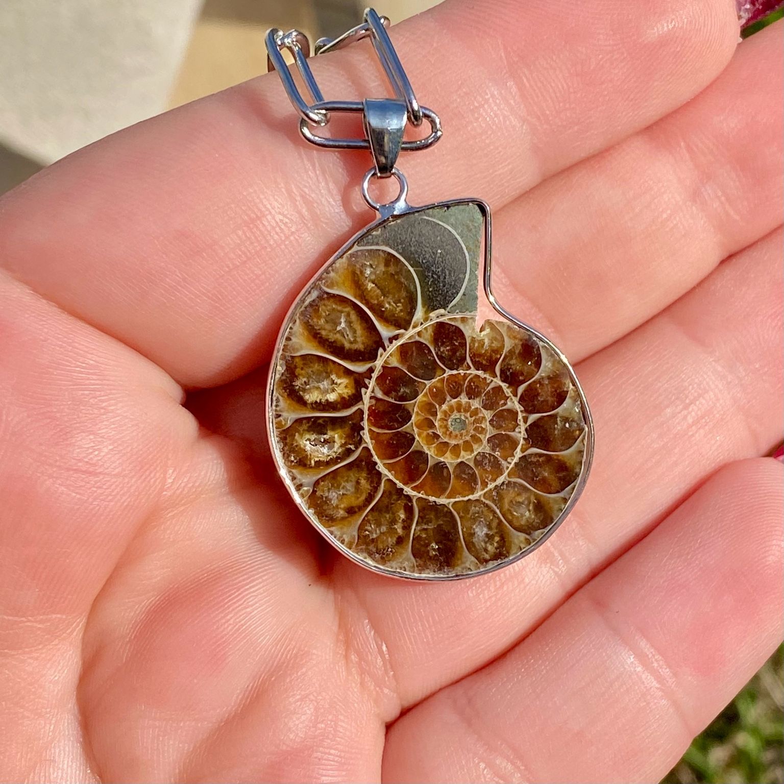 Collier en fossile d'ammonite naturelle, spirale beige et brune sur chaîne argentée Les Merveilles by Pauline.