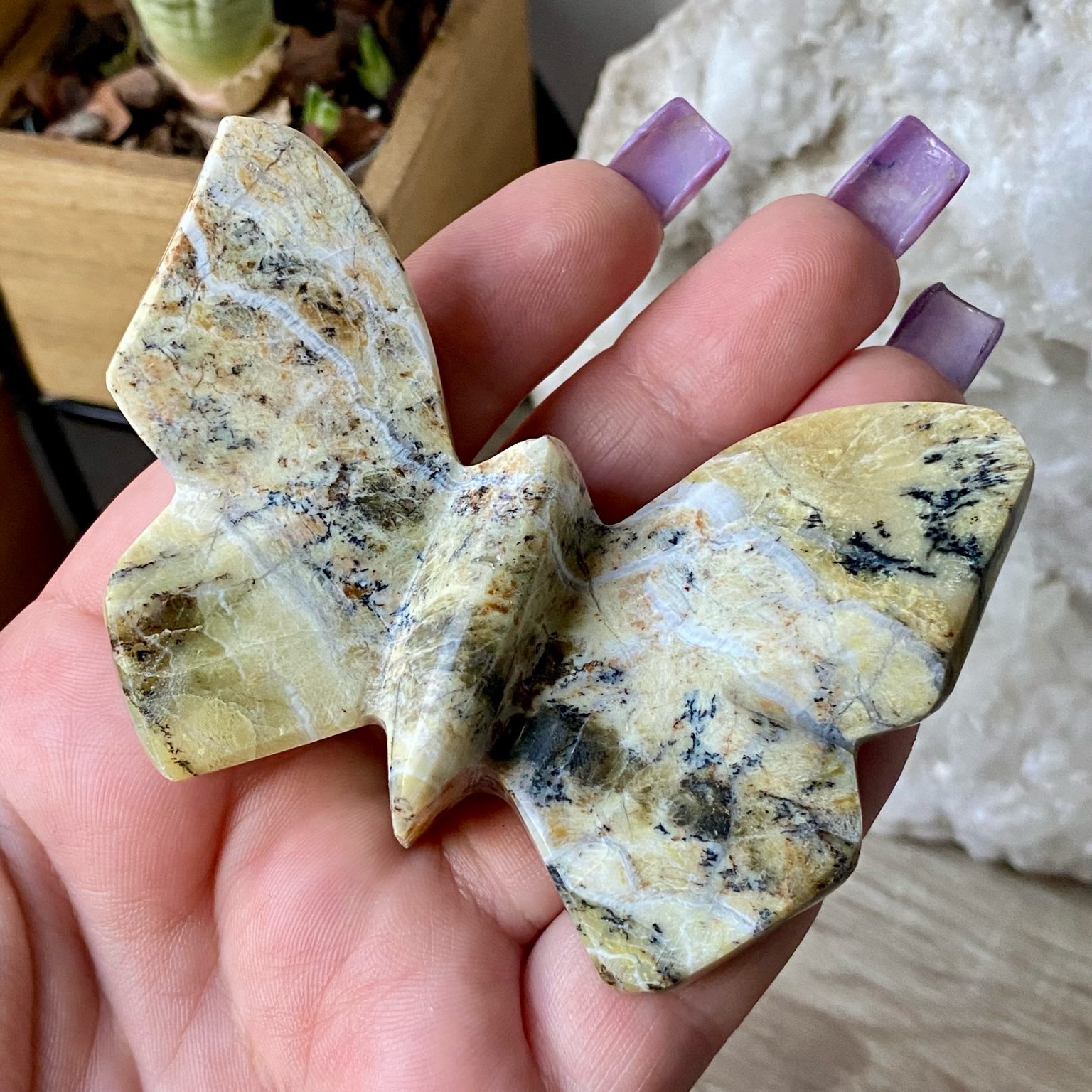 Papillon jaspe bumble bee décoration énergétique