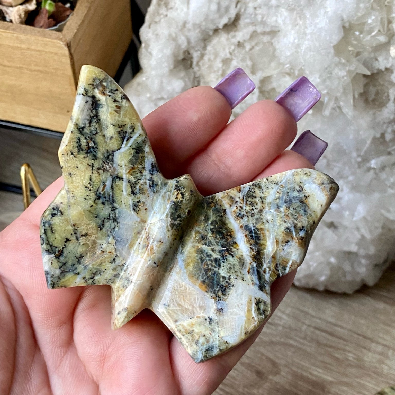 Papillon jaspe bumble bee ailes pointues décoration énergétique